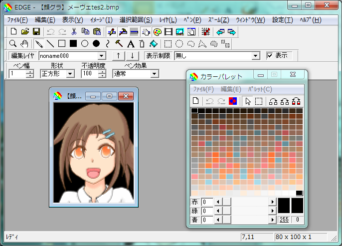 Fig.5 : edgeで減色後の画像を開いたところ